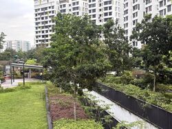 Blk 609A Tampines Greenweave (Tampines), HDB 5 Rooms #593629681